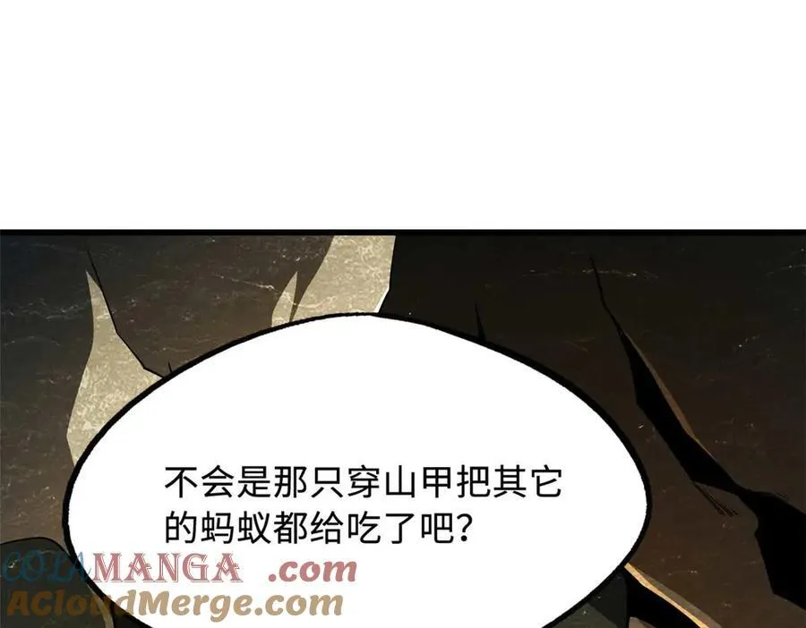 250 蚁巢104