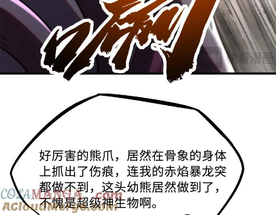 240 骨象之围100