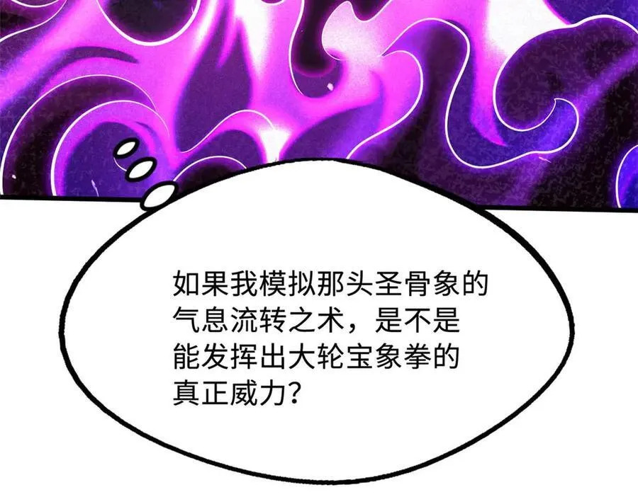 252 大轮宝象拳149