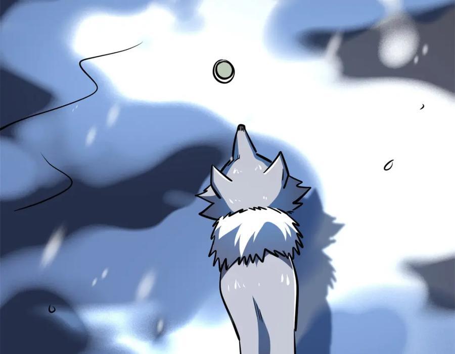 186 卵生狐狸139