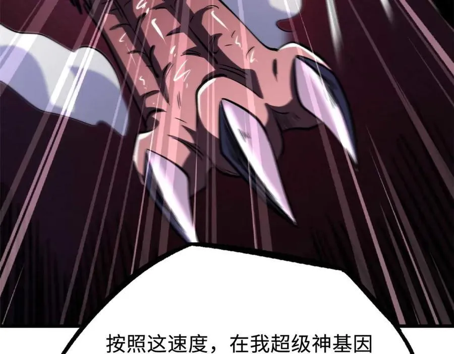 252 大轮宝象拳39