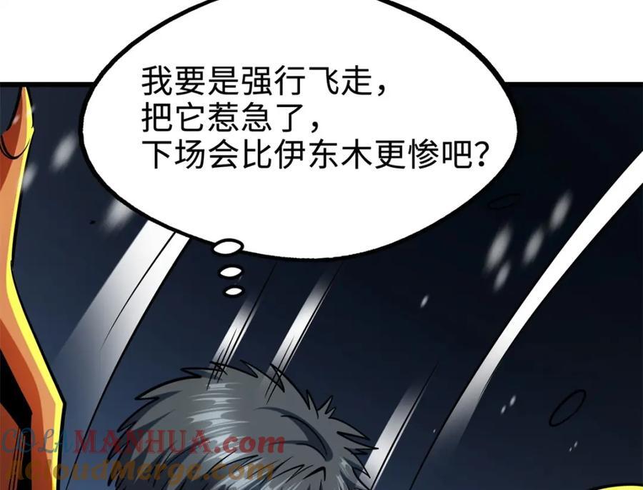 186 卵生狐狸132