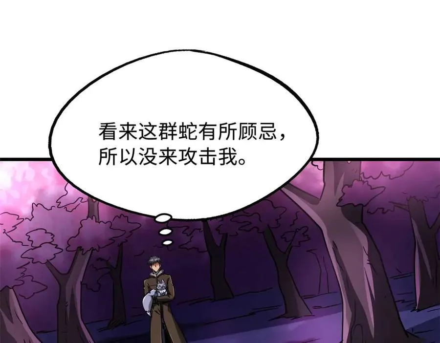 244 桃树仙果101