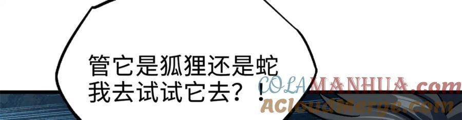 186 卵生狐狸16