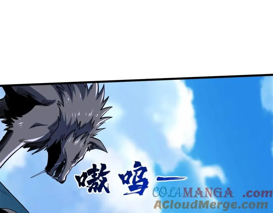 231 狼王100