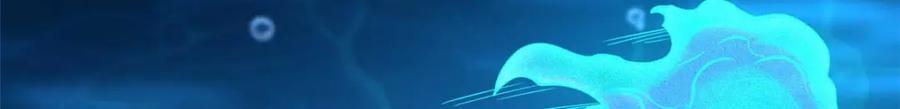 181 第二庇护所超级神生物163