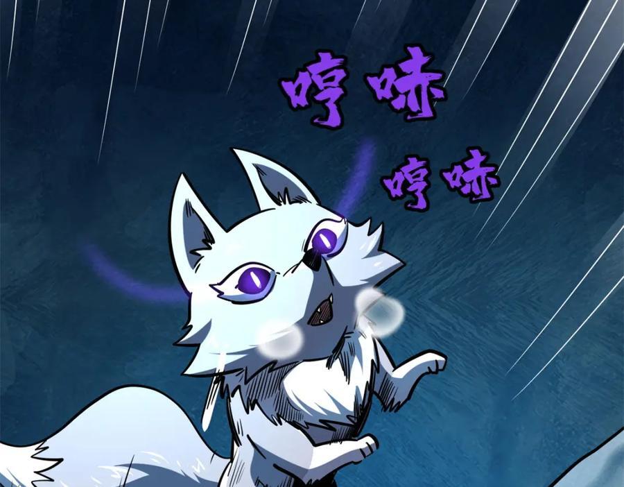 186 卵生狐狸81