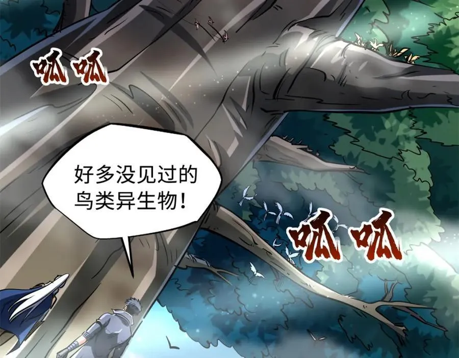 216 冲天隼王49