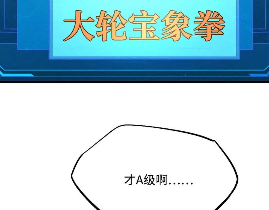 252 大轮宝象拳138