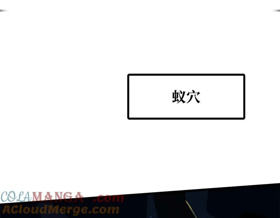 250 蚁巢96