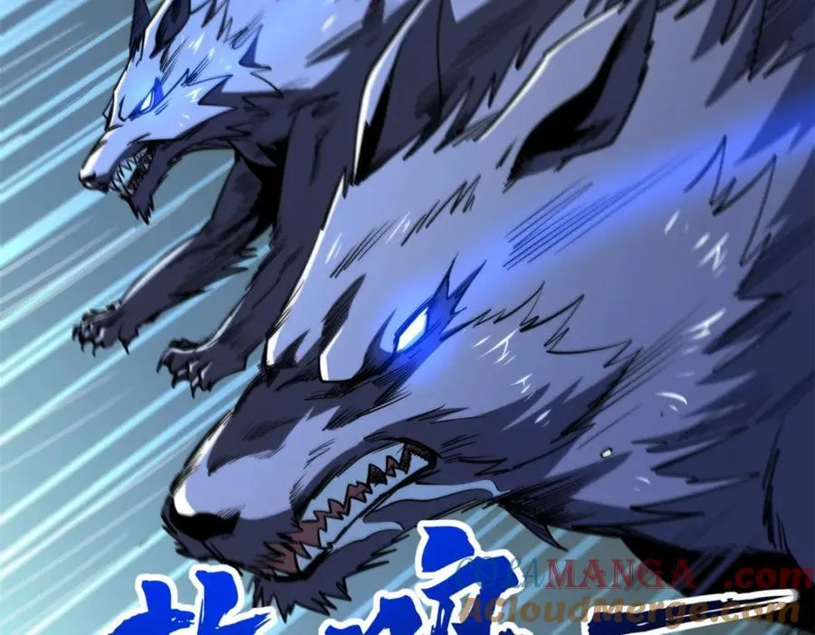 231 狼王112