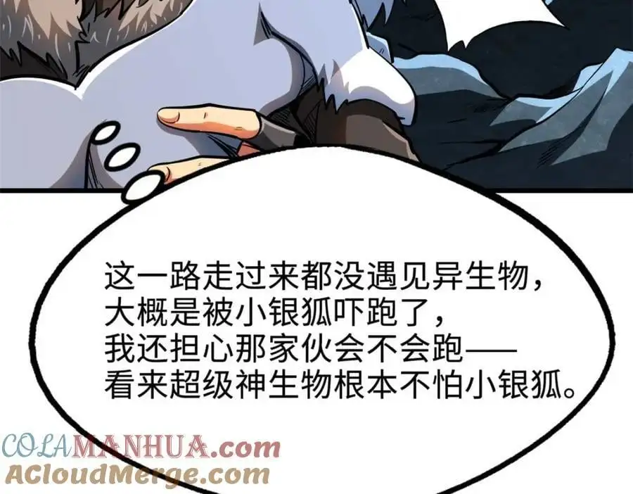 205 白虎御风24