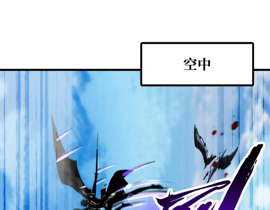 216 冲天隼王114