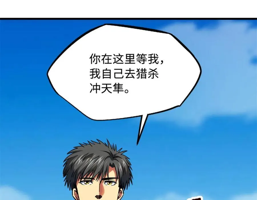 216 冲天隼王63