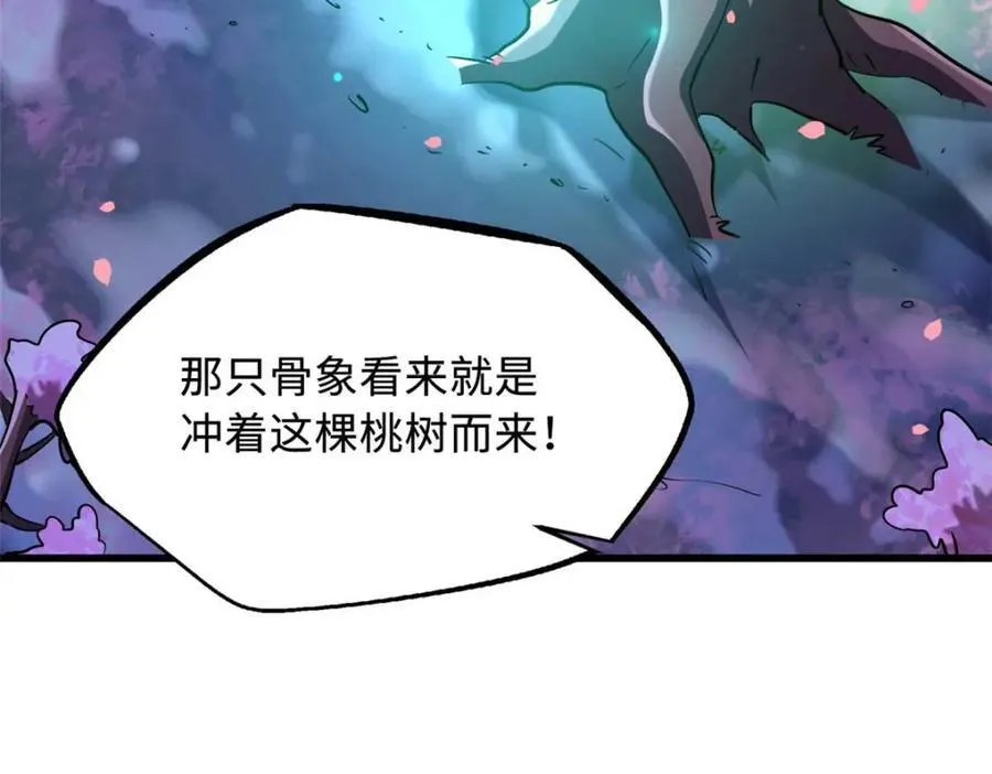 230 桃花圣树5
