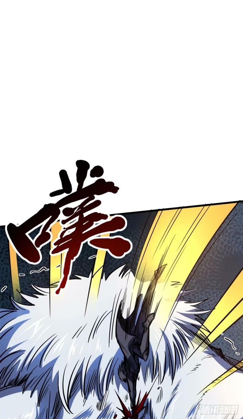 142 女神军团首胜23