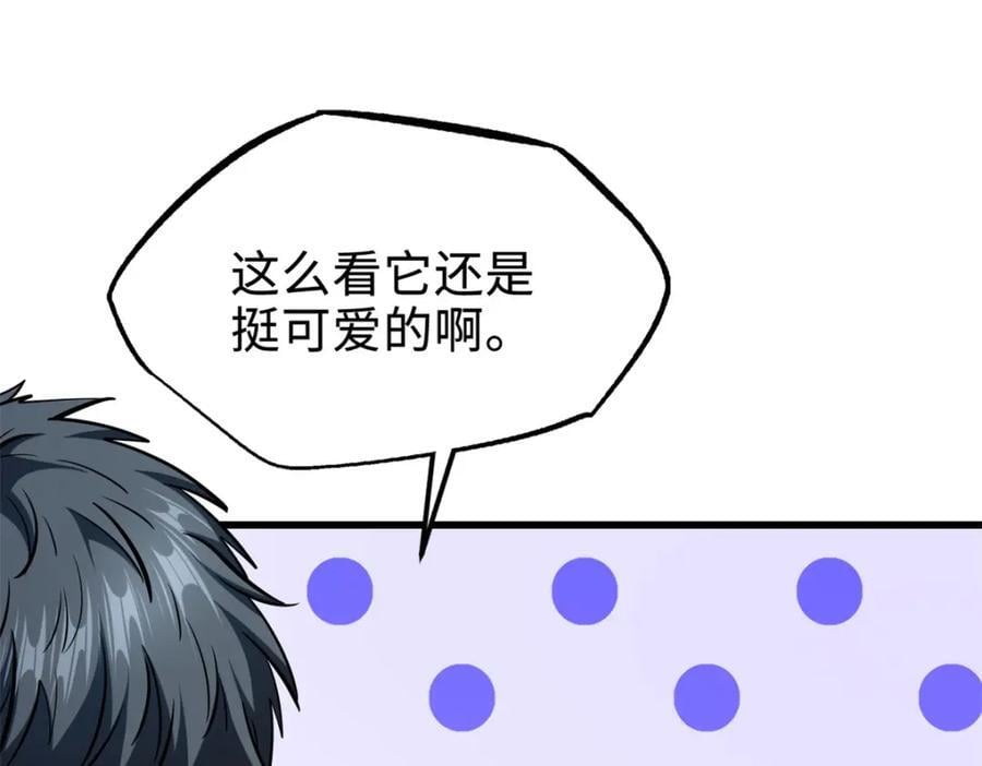 186 卵生狐狸154