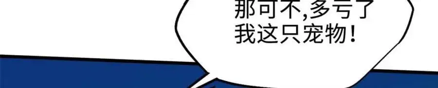 205 白虎御风7