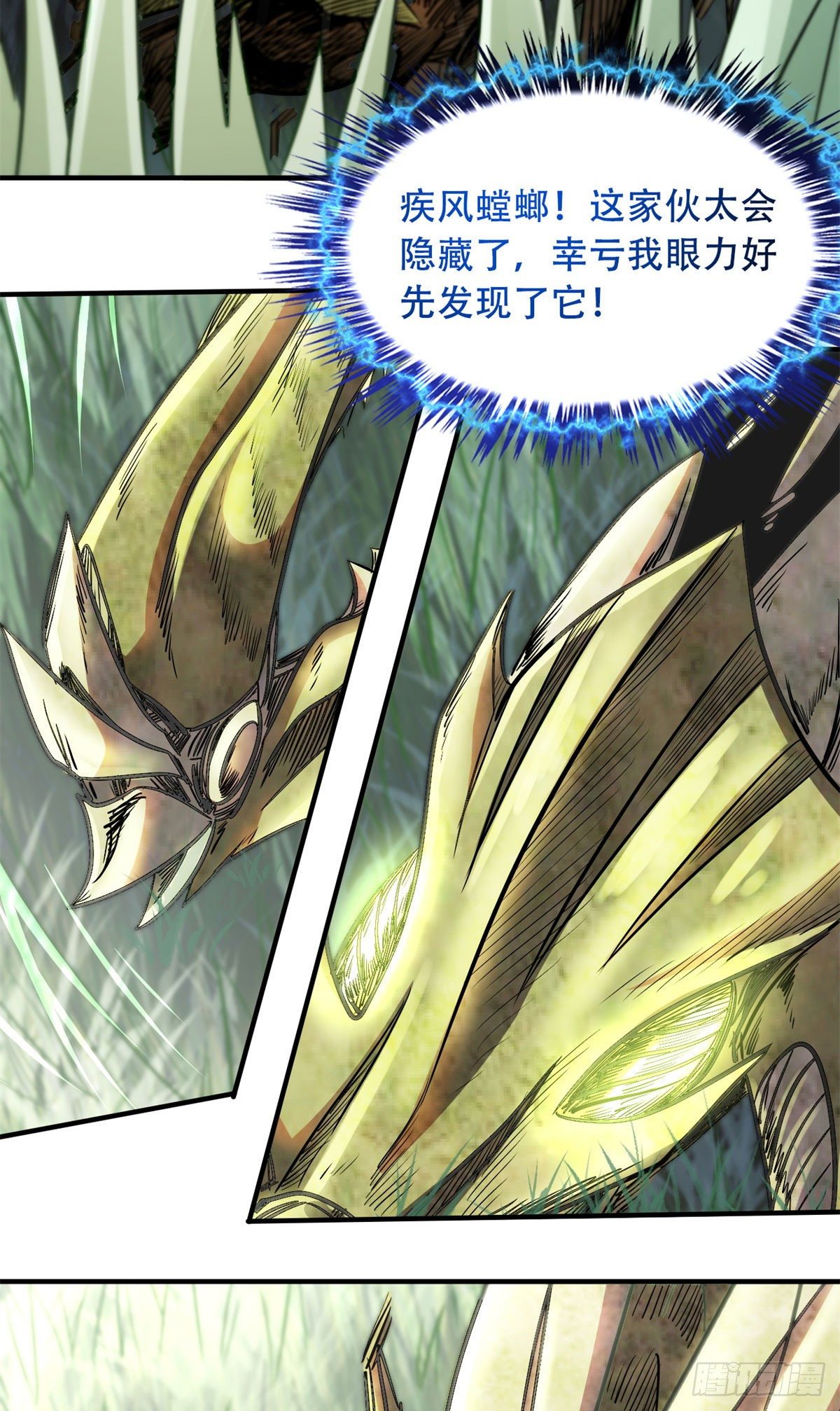 03 币哥6