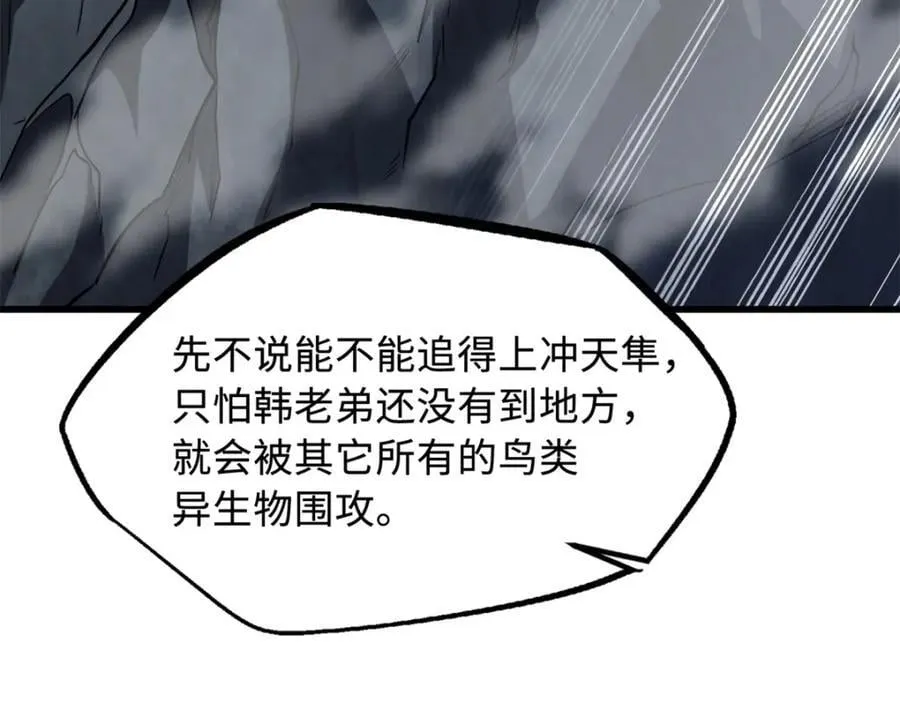 216 冲天隼王73