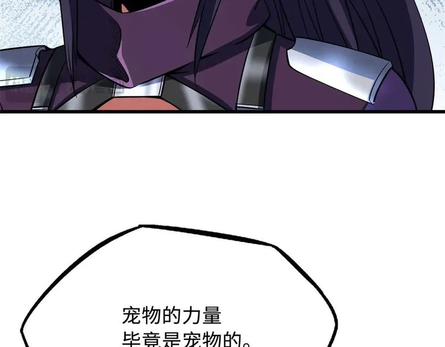 252 大轮宝象拳51
