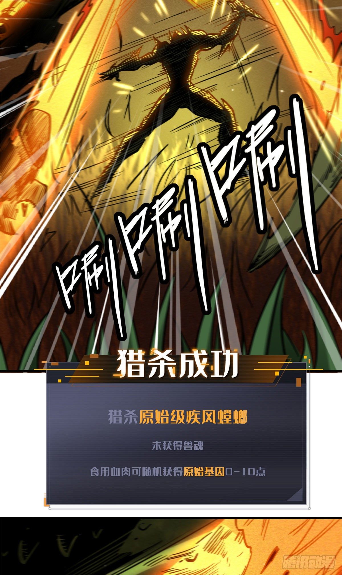 03 币哥22