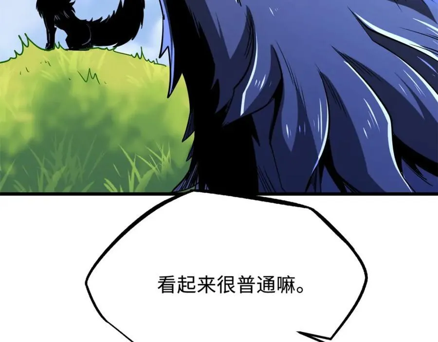 231 狼王95