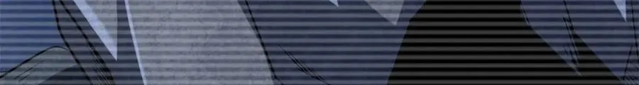 231 狼王58