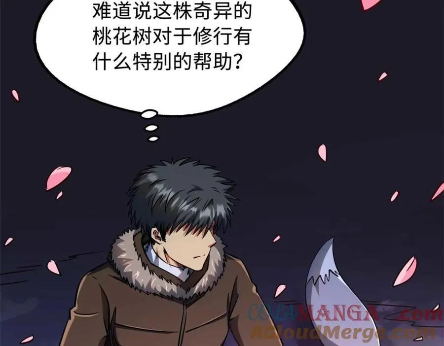 230 桃花圣树84