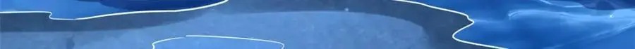 211 不期而遇的珍宝76