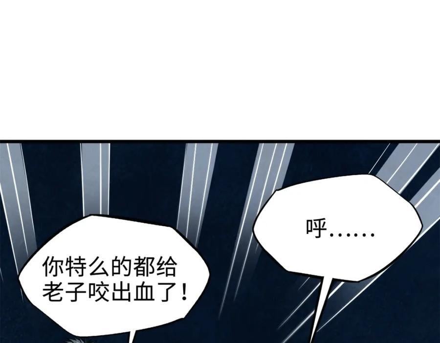186 卵生狐狸71