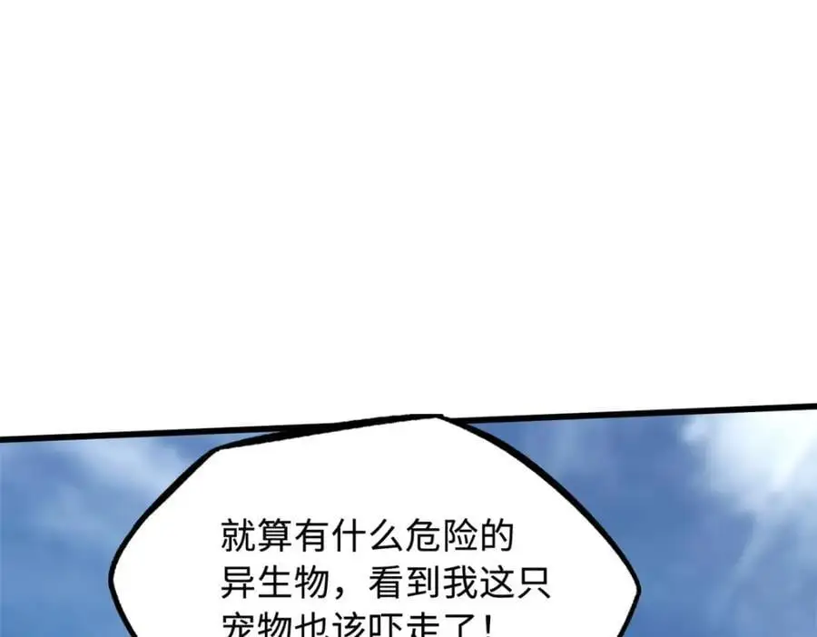 207 七叶莲花105