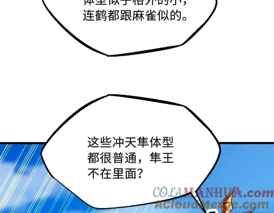 216 冲天隼王88