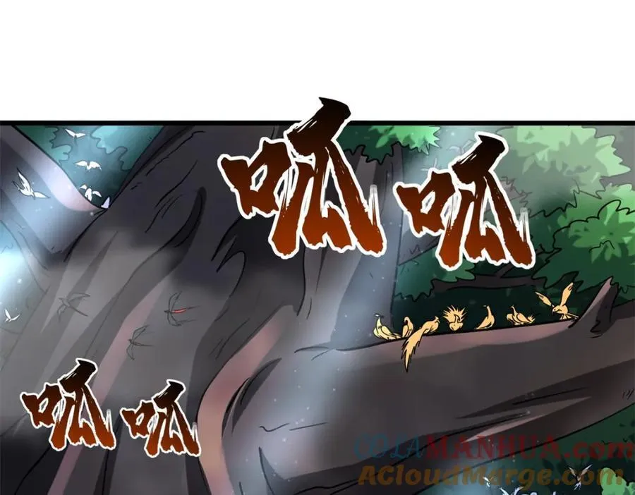 216 冲天隼王52