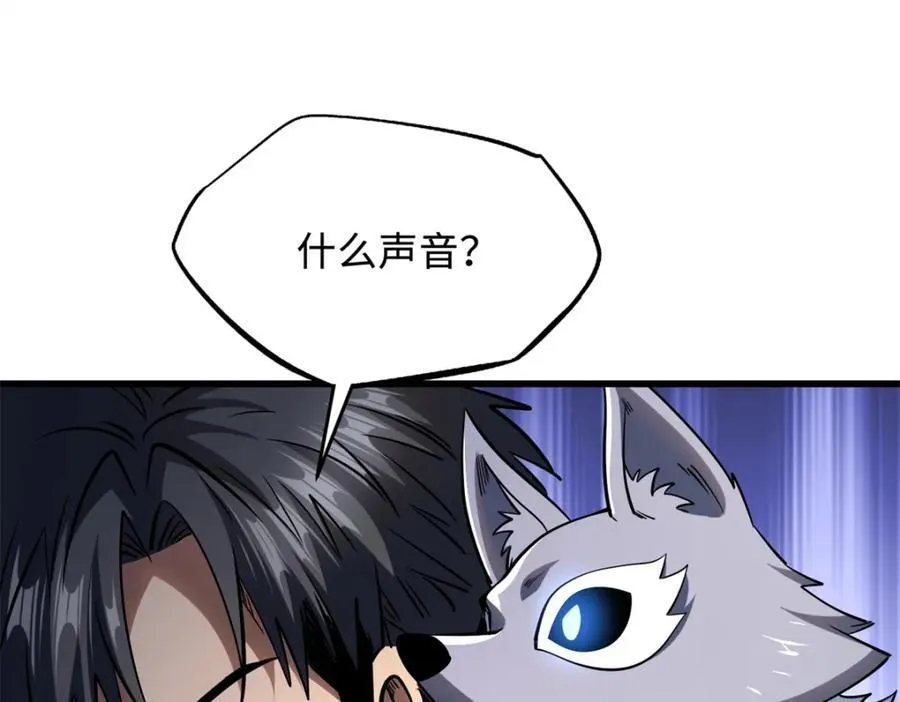 231 狼王149