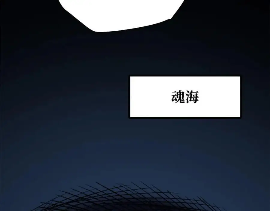 213 冥眼孔雀兽魂81