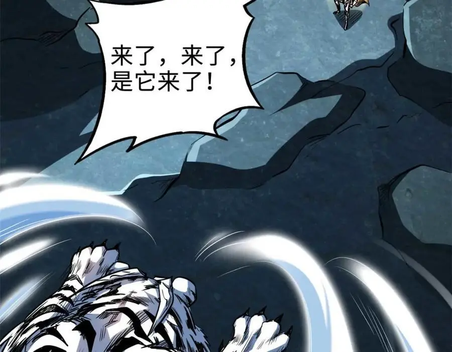 205 白虎御风33