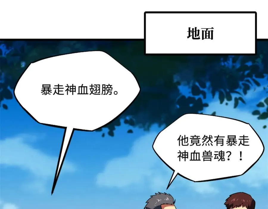 216 冲天隼王110