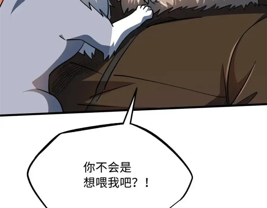 213 冥眼孔雀兽魂26