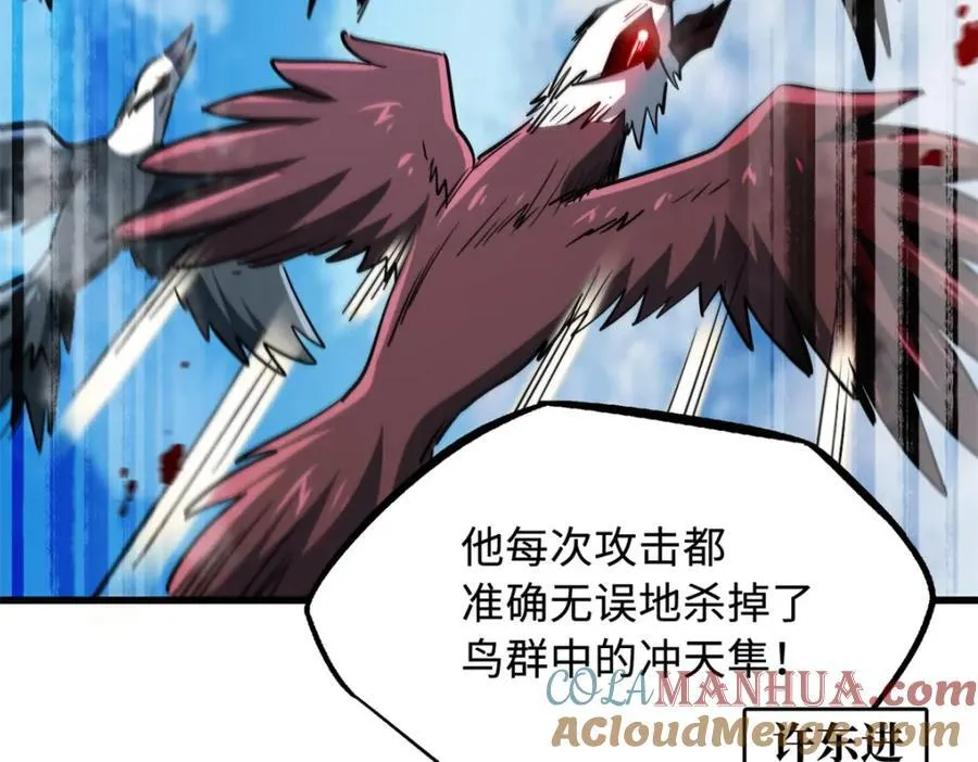 216 冲天隼王108