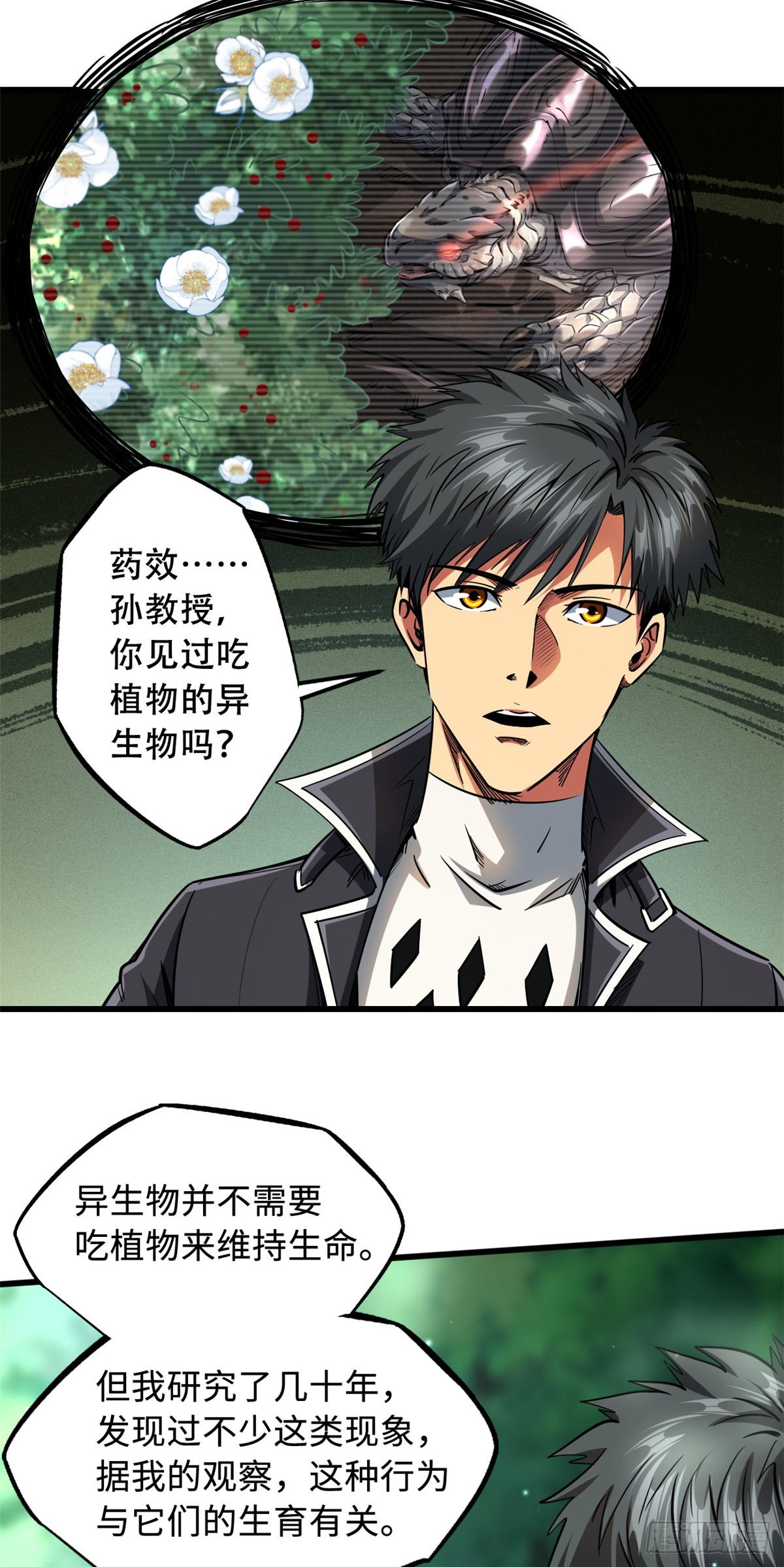 116 植物的秘密17