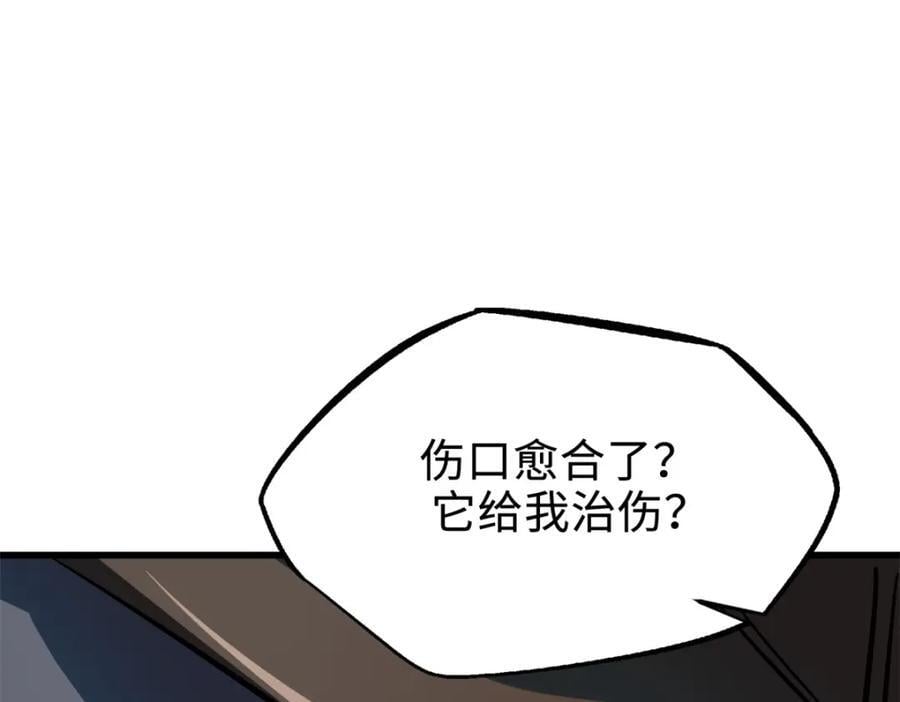 186 卵生狐狸149
