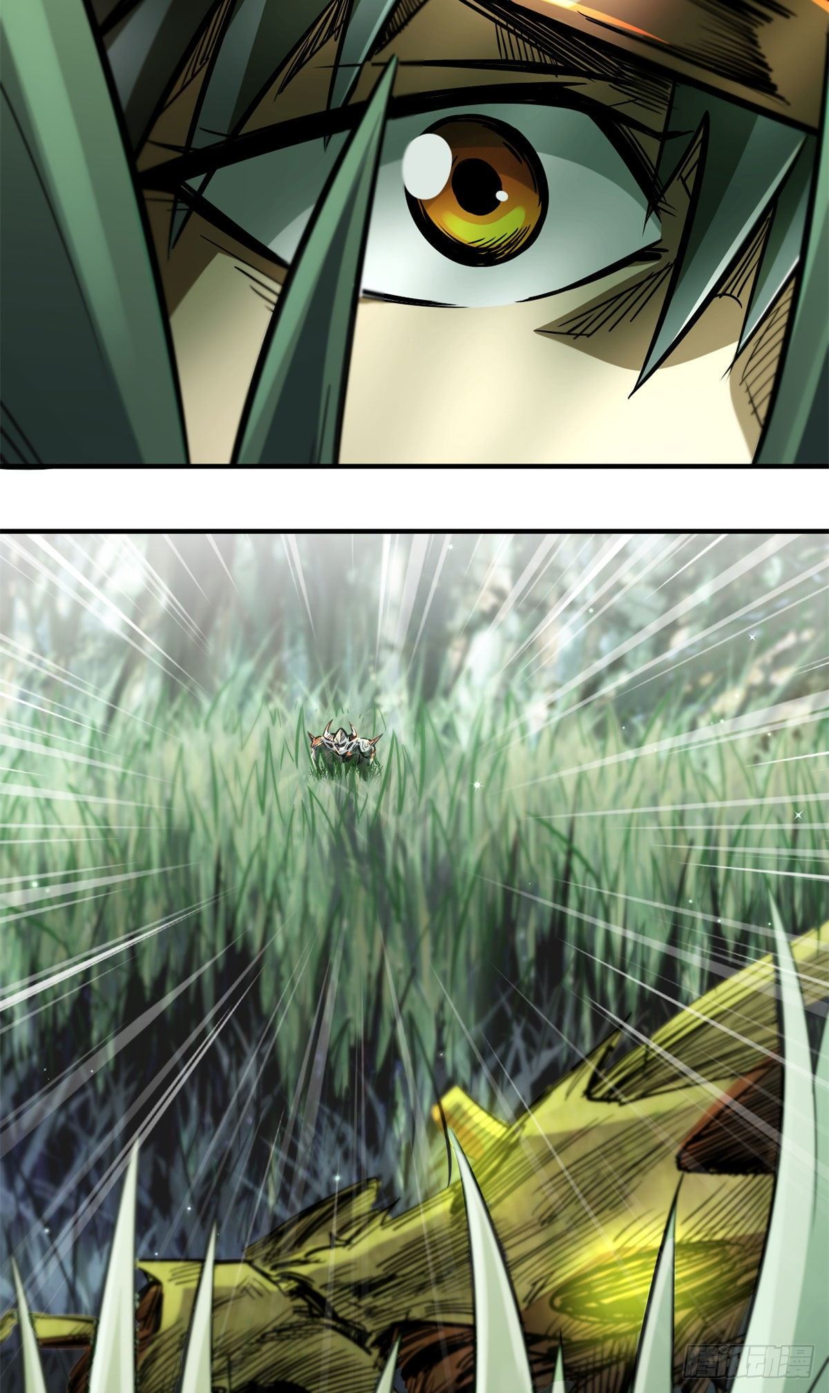 03 币哥5