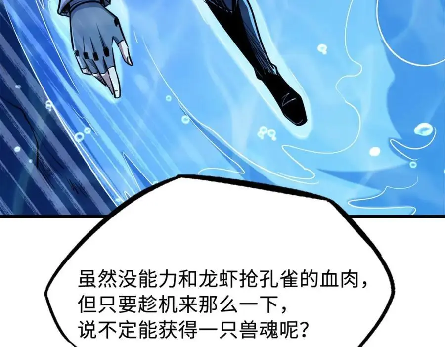 211 不期而遇的珍宝138