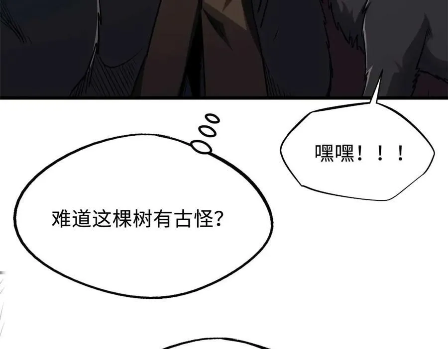 244 桃树仙果143
