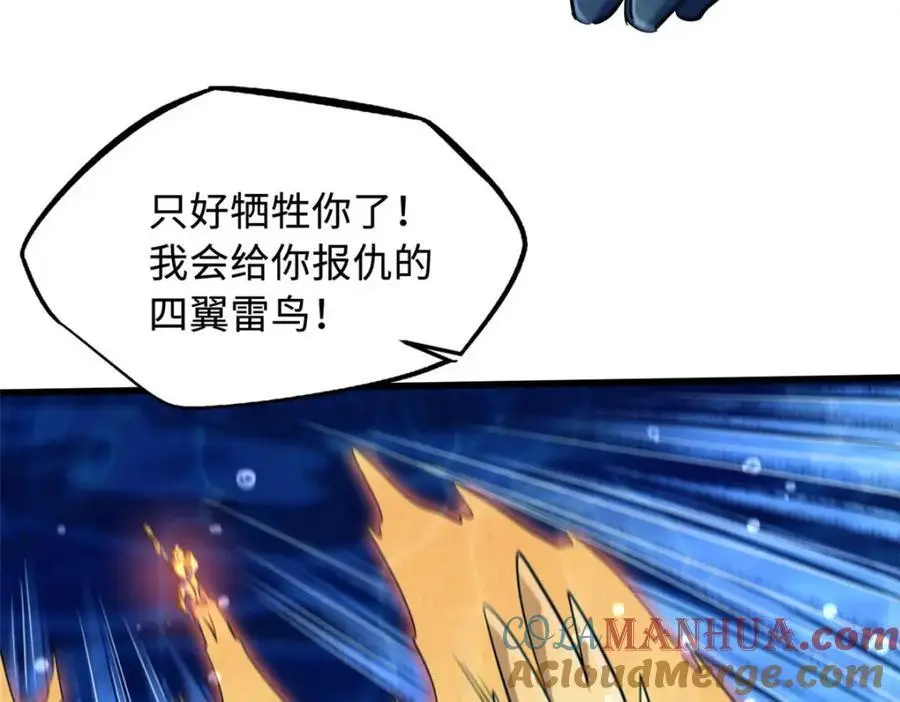 212 刺杀孔雀156