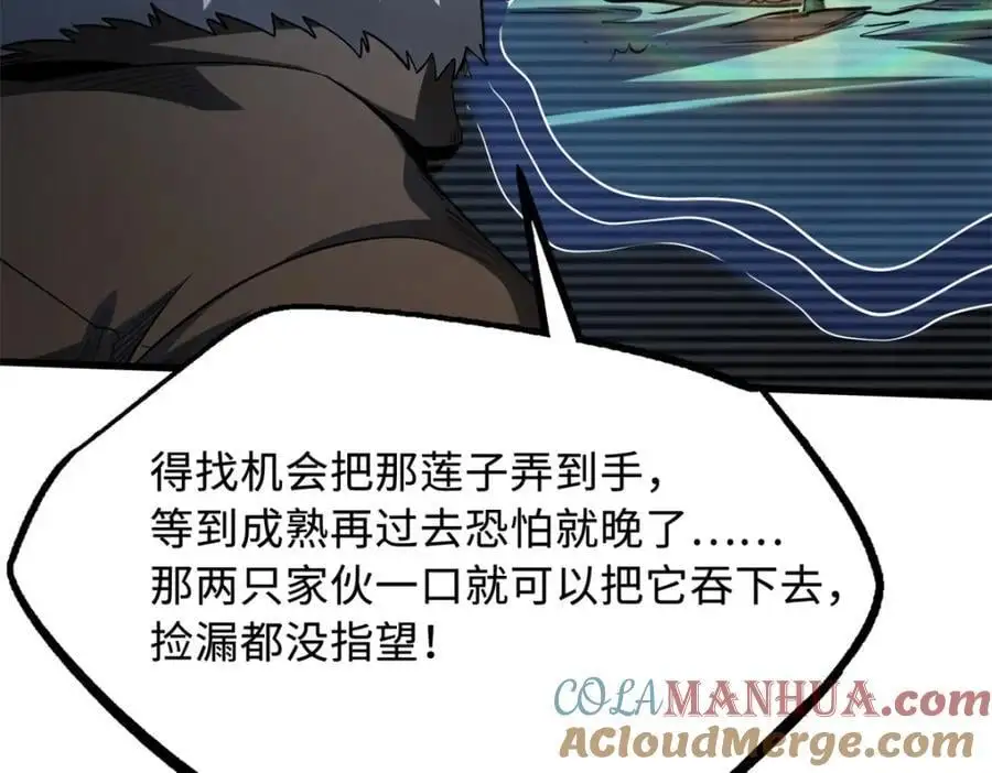 209 “血晶莲子”？52