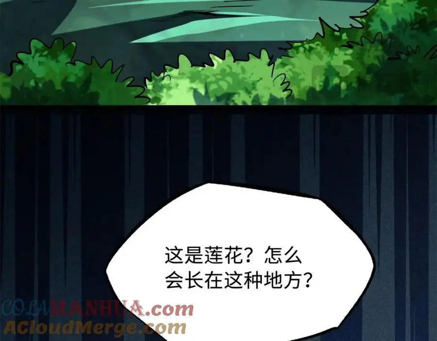 207 七叶莲花156