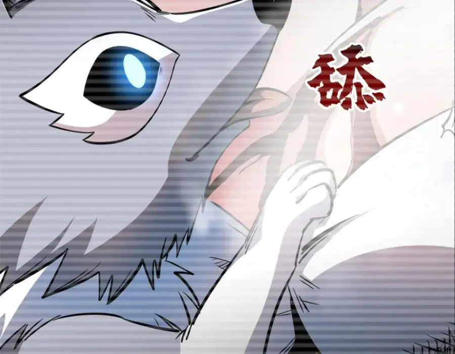 207 七叶莲花79