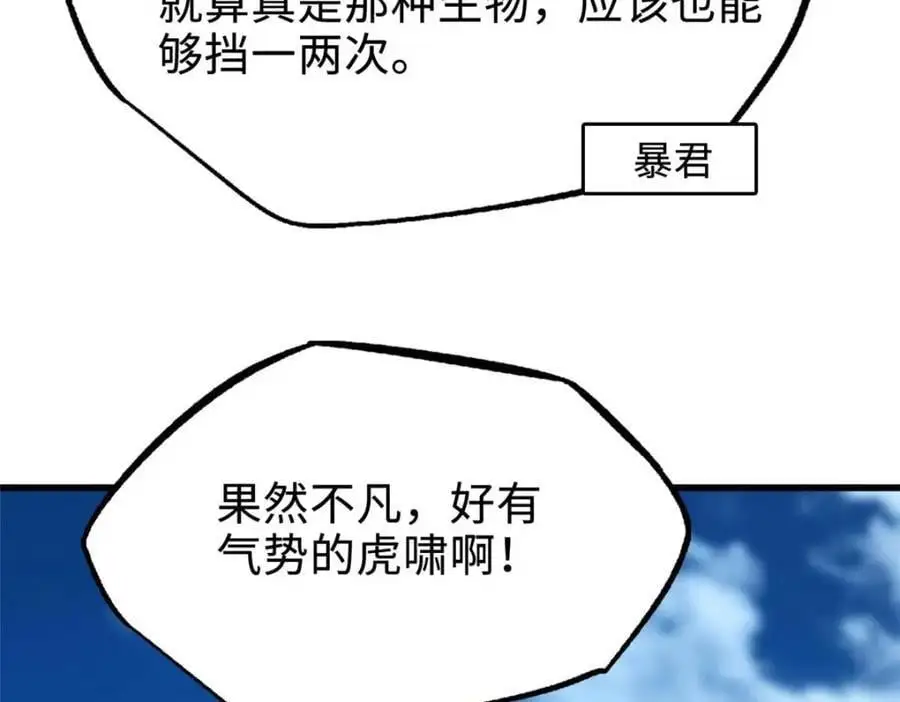 205 白虎御风21
